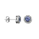 DAZZLE EARRING- TANZANITE